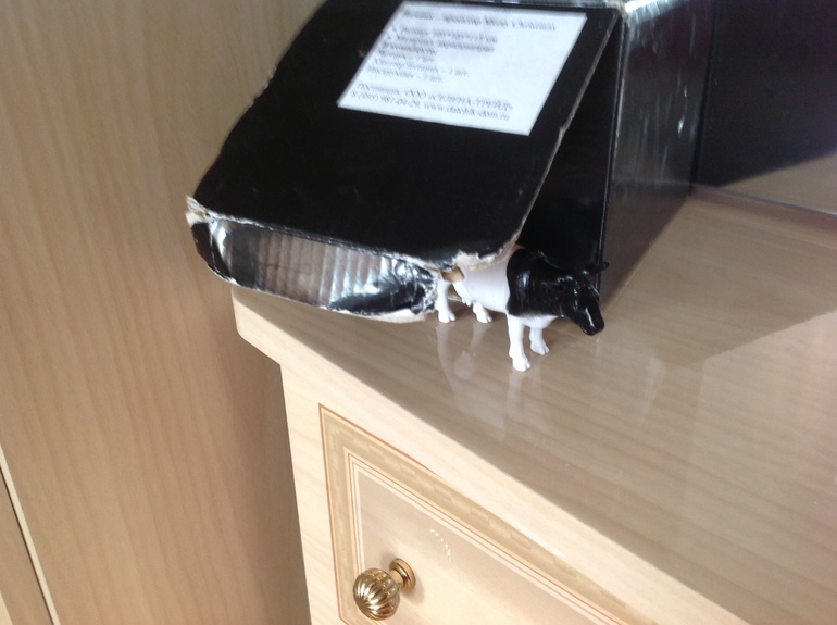 ФМ "Домашние животные". День четвертый. Корова и лошадь.