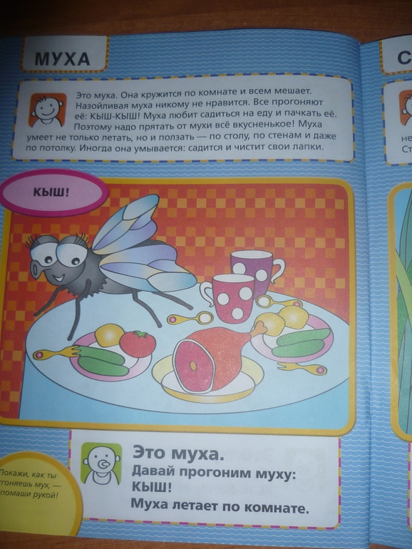 ТН Насекомые