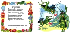 ТН Насекомые