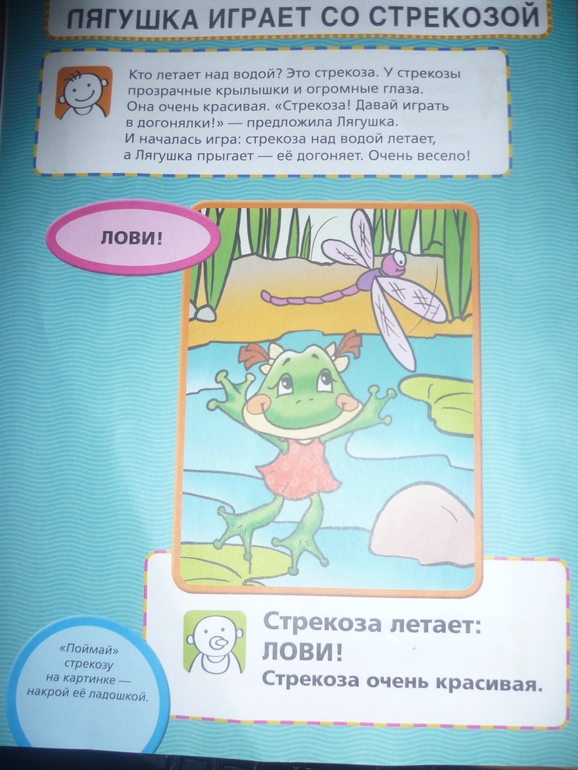 ТН Насекомые