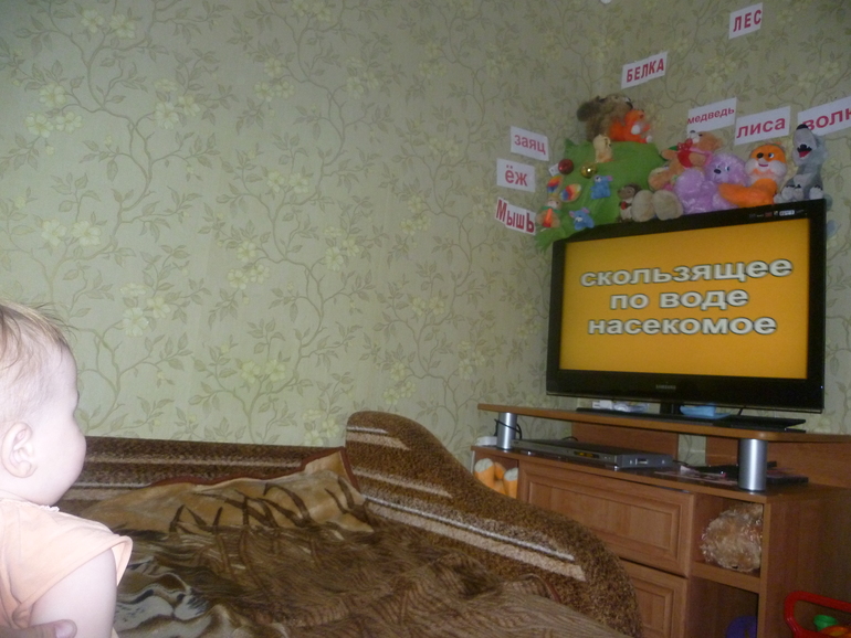 ТН Насекомые