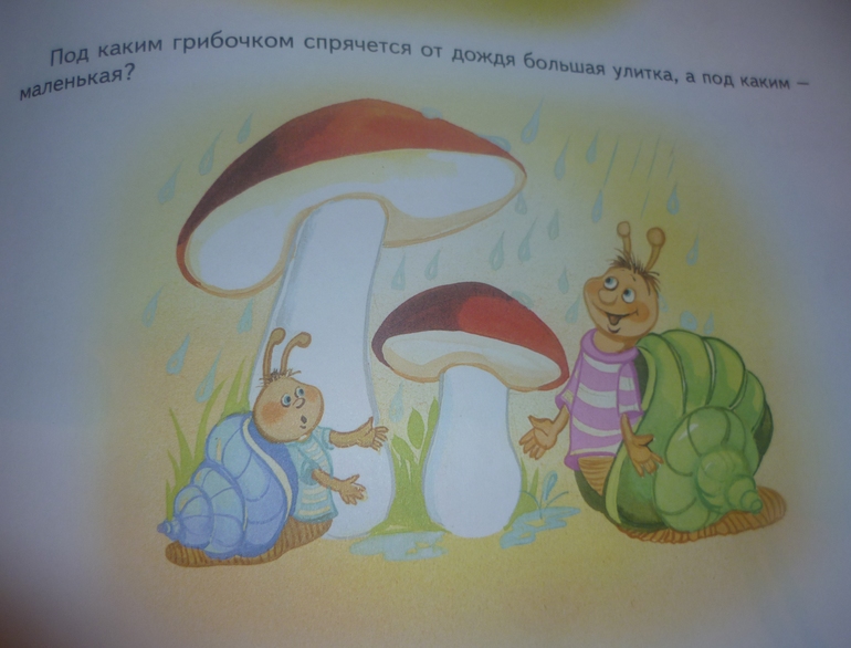 ТН Насекомые