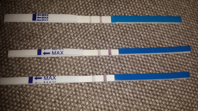 6дз. Думаю я беременна, постараюсь в ближайшие дни подтвердить УЗИ