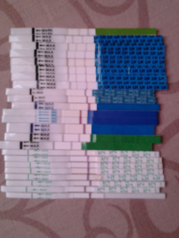 Тестомания... И так каждый цикл...