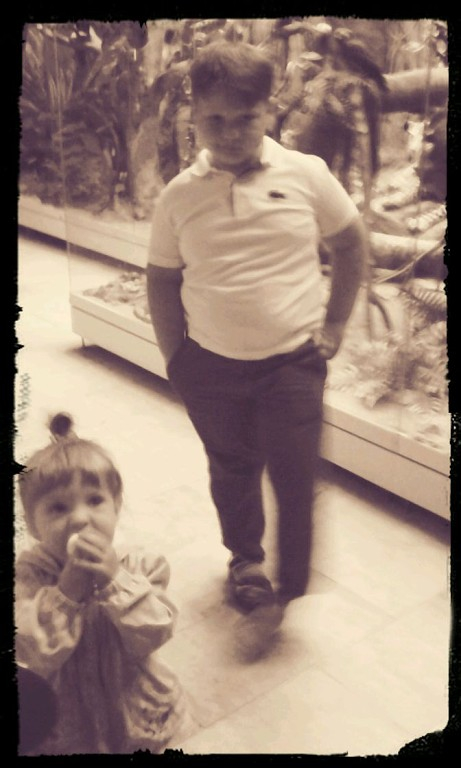 Дарвинский музей))))