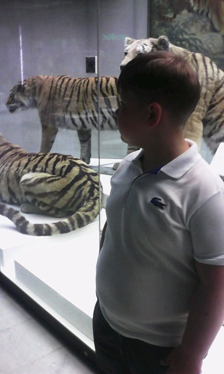 Дарвинский музей))))