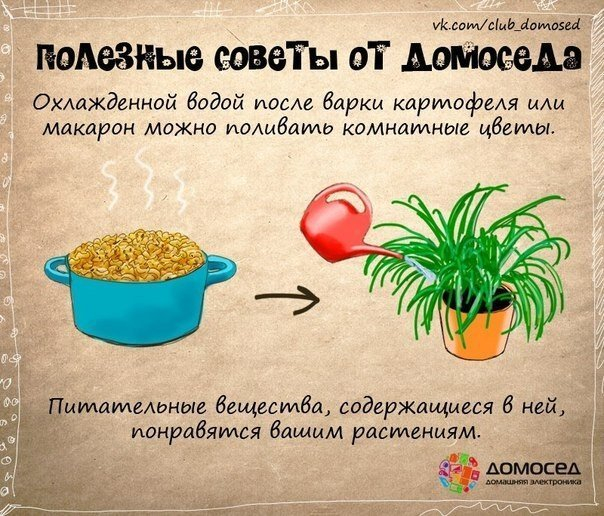 Полезные советы  от домоседа