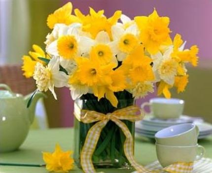 Мои любимые цветы))))