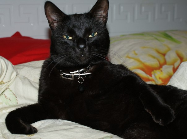 Мои 20 неделек