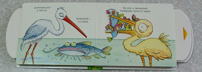 Наши новые книжки-картонки