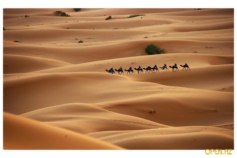Африка. № Пустыня.
