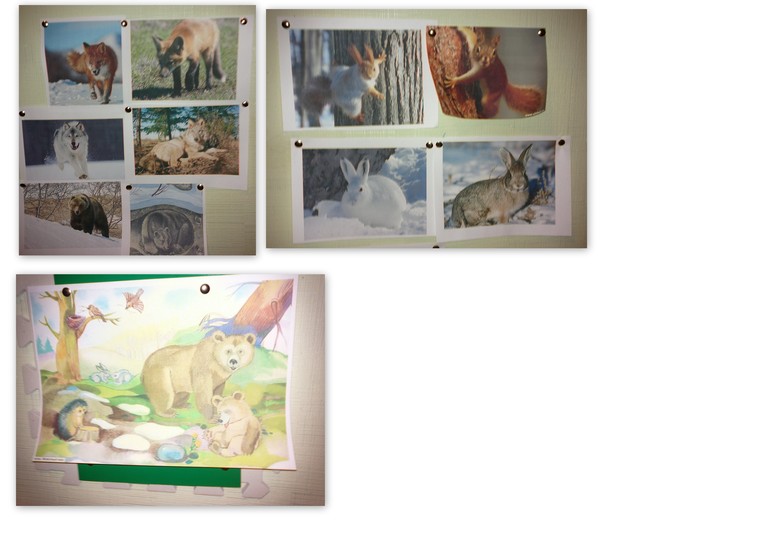 Отчёт ТН Весна. день 5