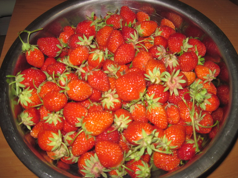 1 год 1 месяц 26 дней - 14 зуб