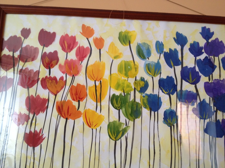 Разноцветные маки..