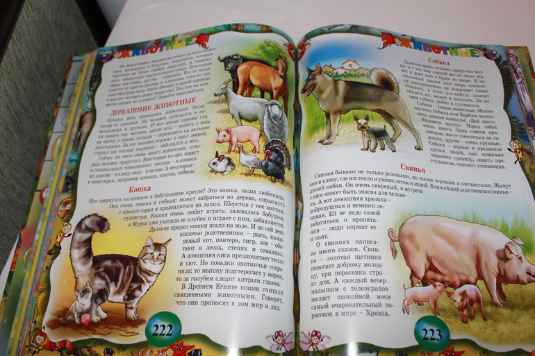 Библиотека малыша