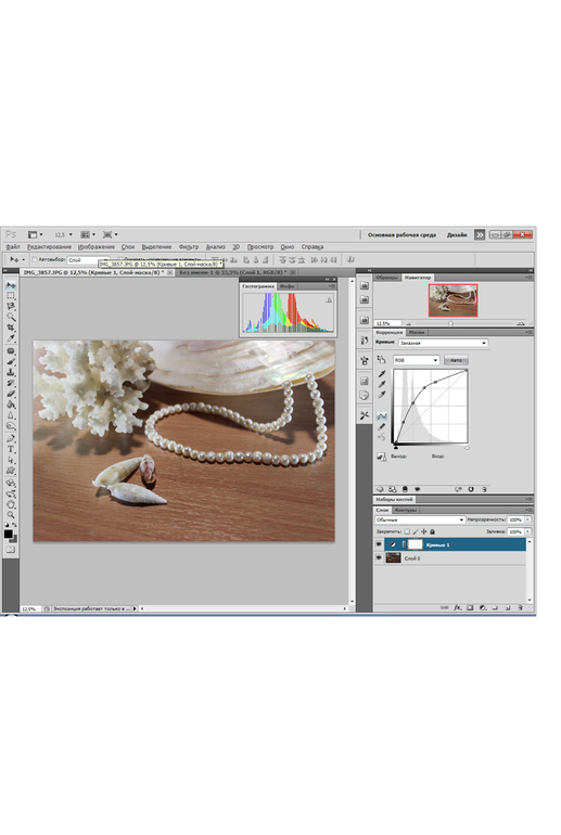 Контрольное задание № 7. Корректируем фотографию при помощи кривых