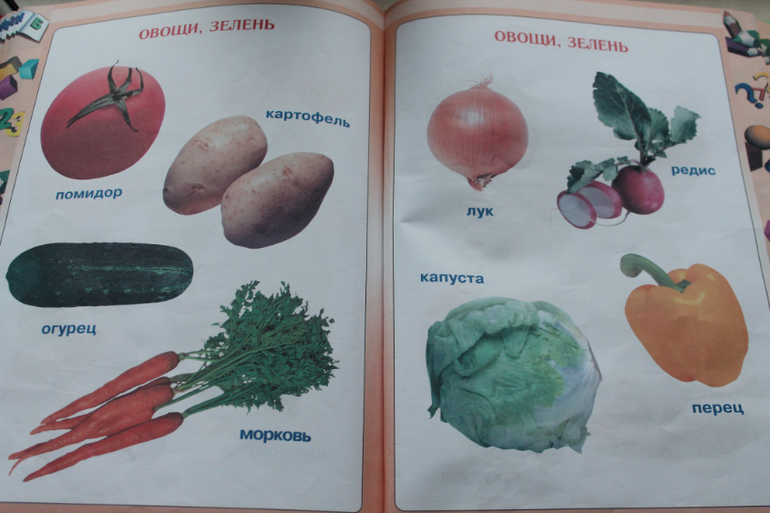 Первая книга малыша.