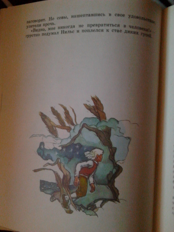 Чудесное путешествие Нильса с дикими гусями ^____^