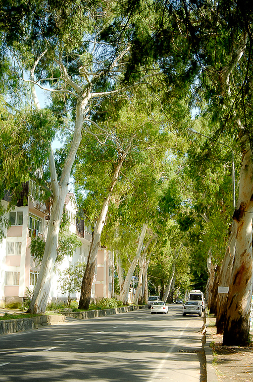 Сказочная Абхазия, Гагра, лето 2012. (часть 1)