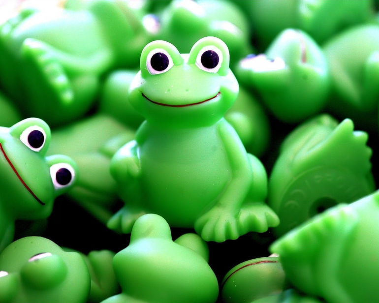 Приманочки для наших пернатых!!!)