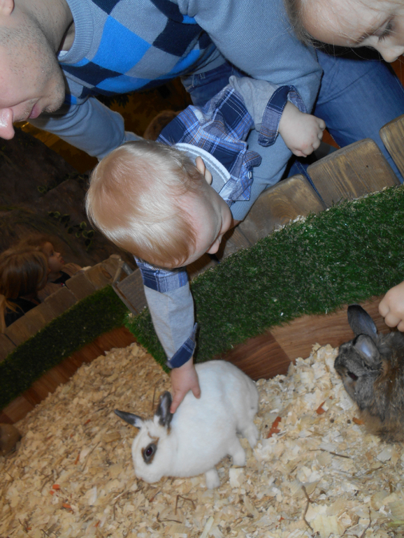 Лесное посольство)))