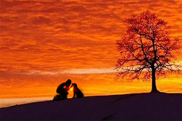 Контрольное задание № 9. Использование масок слоев.