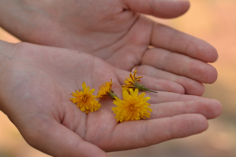 Контрольное задание № 5. Корректируем тона при помощи уровней