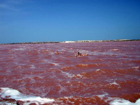 Приглашем в Торревьеху вылечить болезни органов дыхания