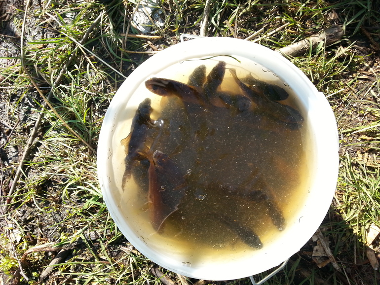 Завтра нам 24 недельки)))