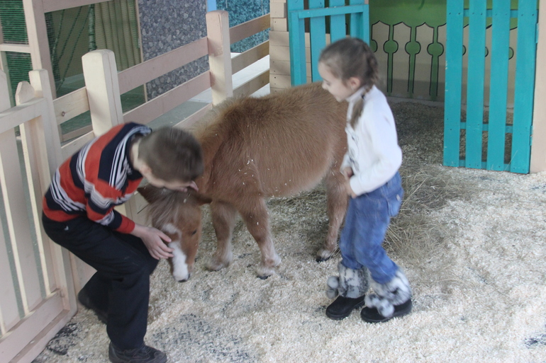 Зоопарк домашний