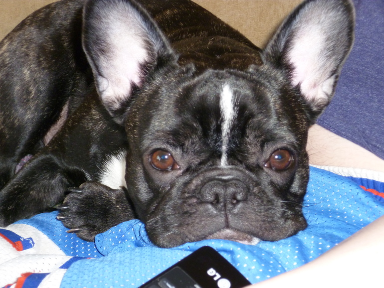 Мне 22 года, а нам уже 29 неделя. Обо всем по-немногу...