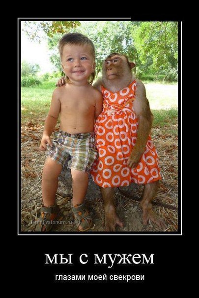 Вот увидела фото, и ржу не могу, точно про мою бесценную "маму"