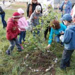 Эко-уроки  с детьми