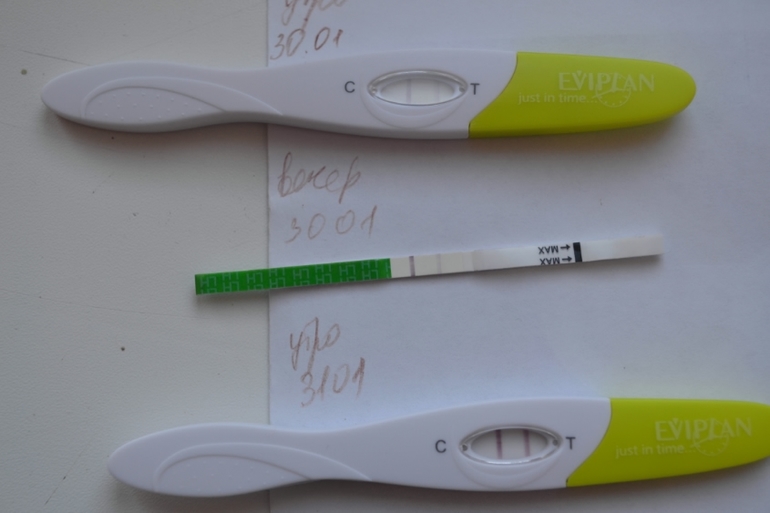 совет прошу и ваше мнение)