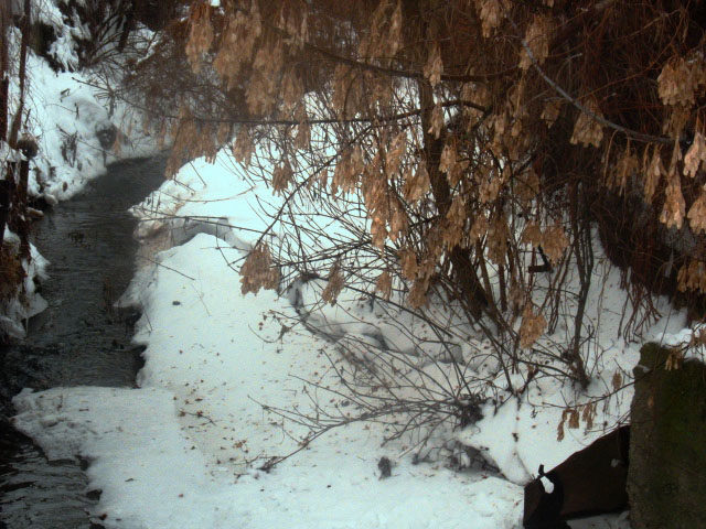 Фото-прогулка.