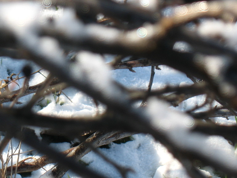 Блин блинский