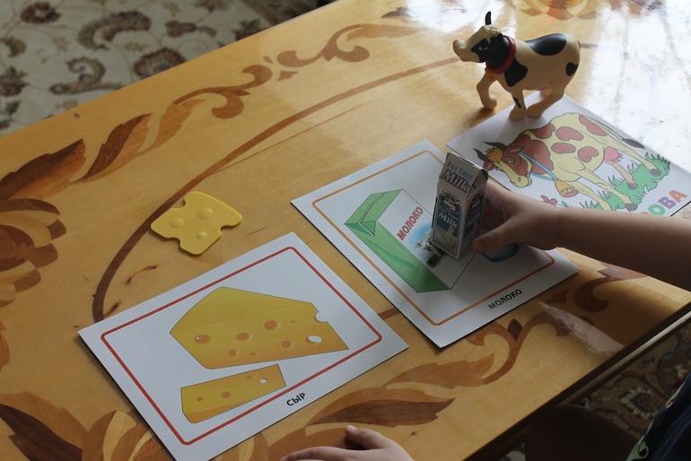 Тематическое занятие "СЫР"