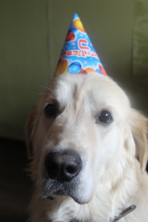 С днем рождения, пёс, и наши фокусы.