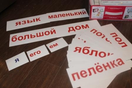 Программа Развития Интеллекта с рождения до двух лет