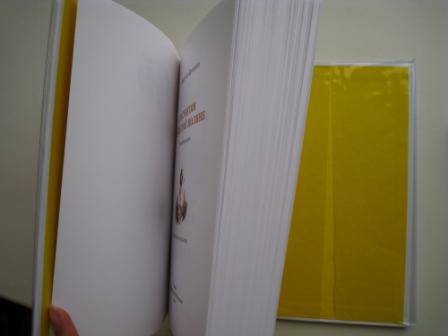 Защищаем БИСС на века