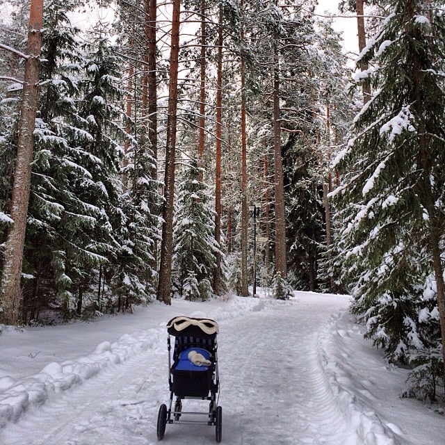 Моя Bugaboo Cameleon 3, плюсы и МИНУСЫ!