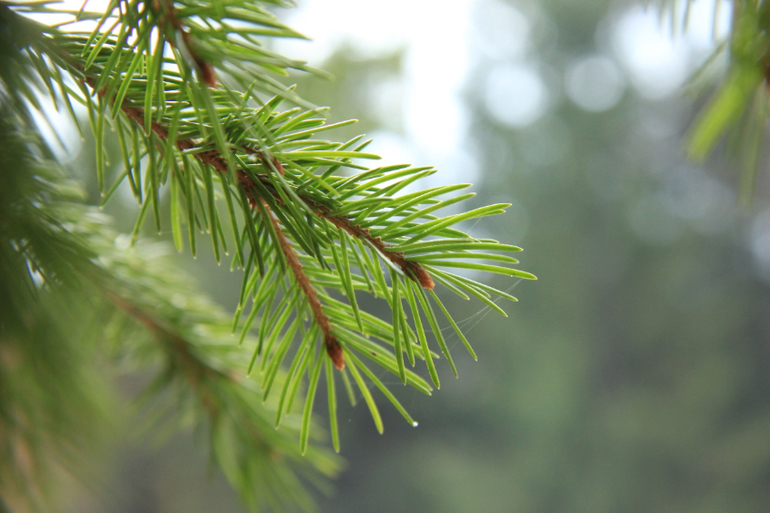 Все и обо всем.)