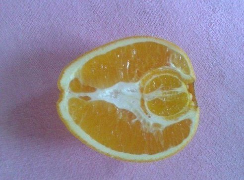 Беременная апельсинка из Контакта :)