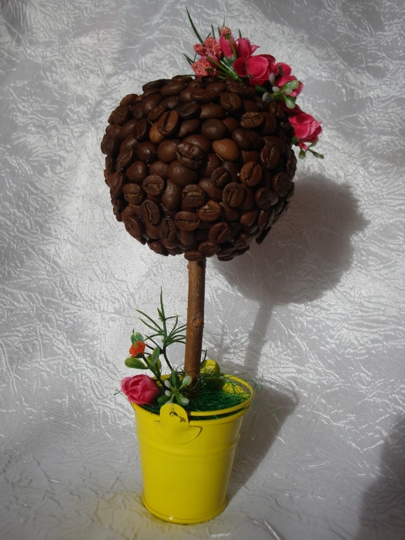 Новые кофейные деревца после долгого перерыва