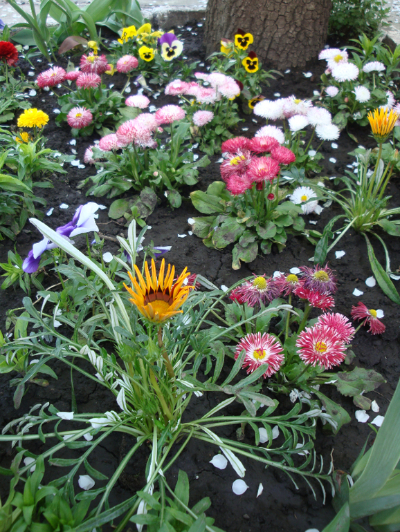 Гостим в Кировограде