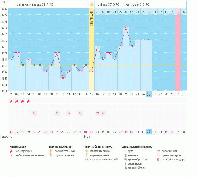 девочки,что скажите???