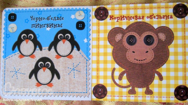 Разноцветный попугай.