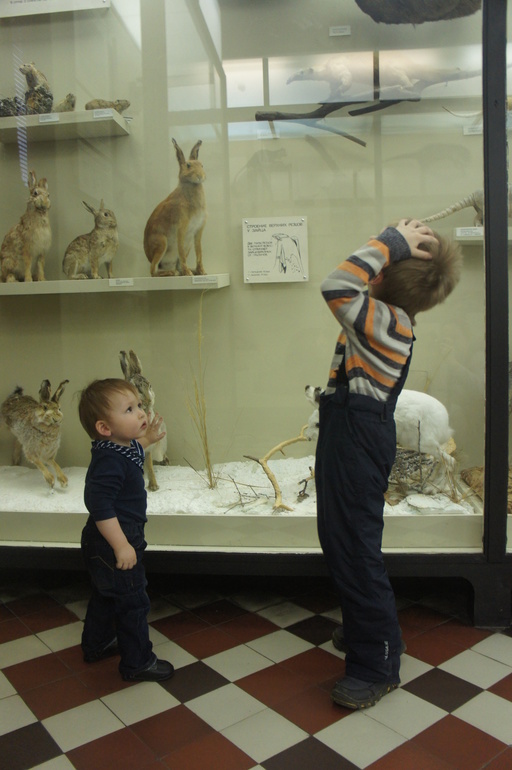 Зоологический музей МГУ или поход в музей годовалого Льва