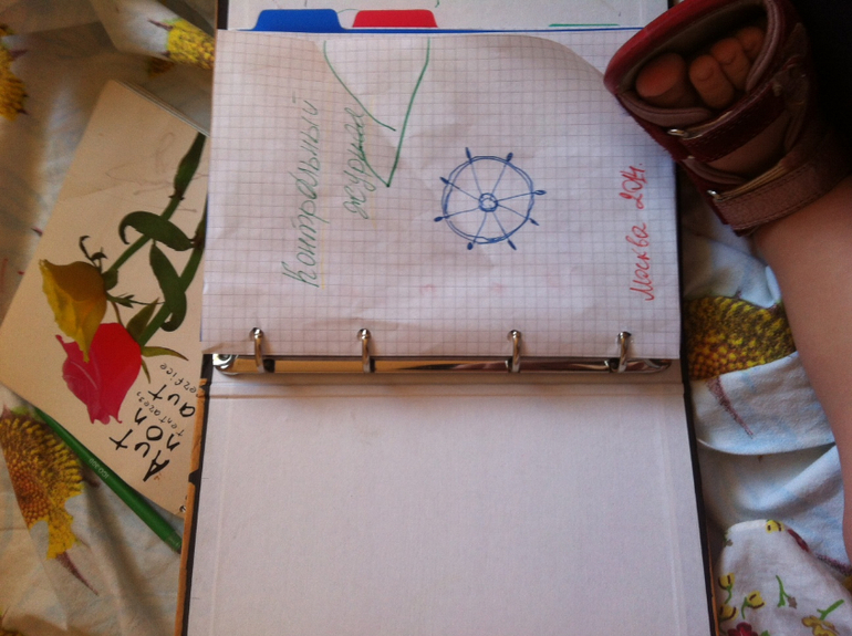 73, день 4 Начинаем КЖ и зонирование + бонус про мойку