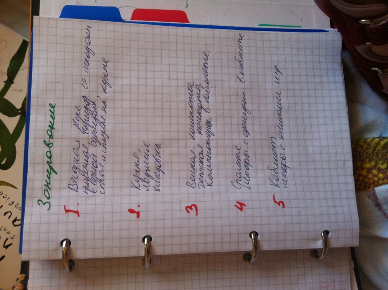 73, день 4 Начинаем КЖ и зонирование + бонус про мойку